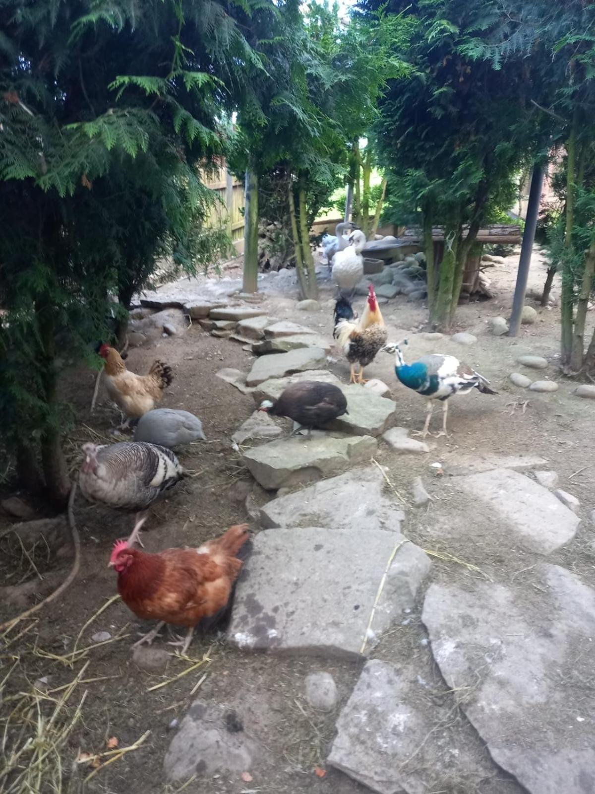 Koperkowe Rancho Beskid Wyspowy Domek Malopolskie Kamionna Kamionna  Ngoại thất bức ảnh