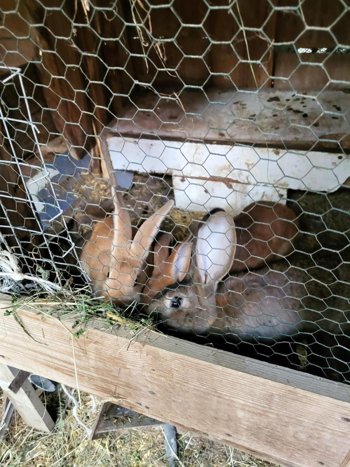 Koperkowe Rancho Beskid Wyspowy Domek Malopolskie Kamionna Kamionna  Ngoại thất bức ảnh