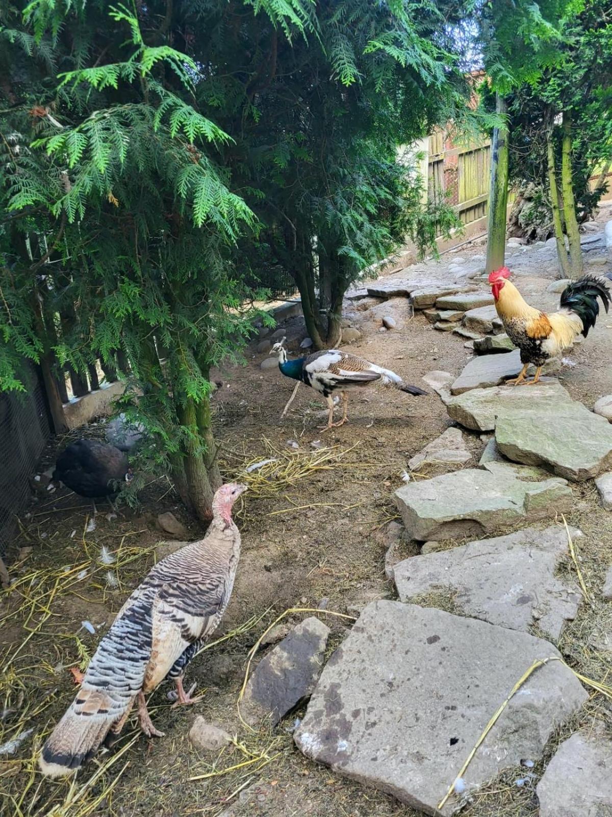 Koperkowe Rancho Beskid Wyspowy Domek Malopolskie Kamionna Kamionna  Ngoại thất bức ảnh
