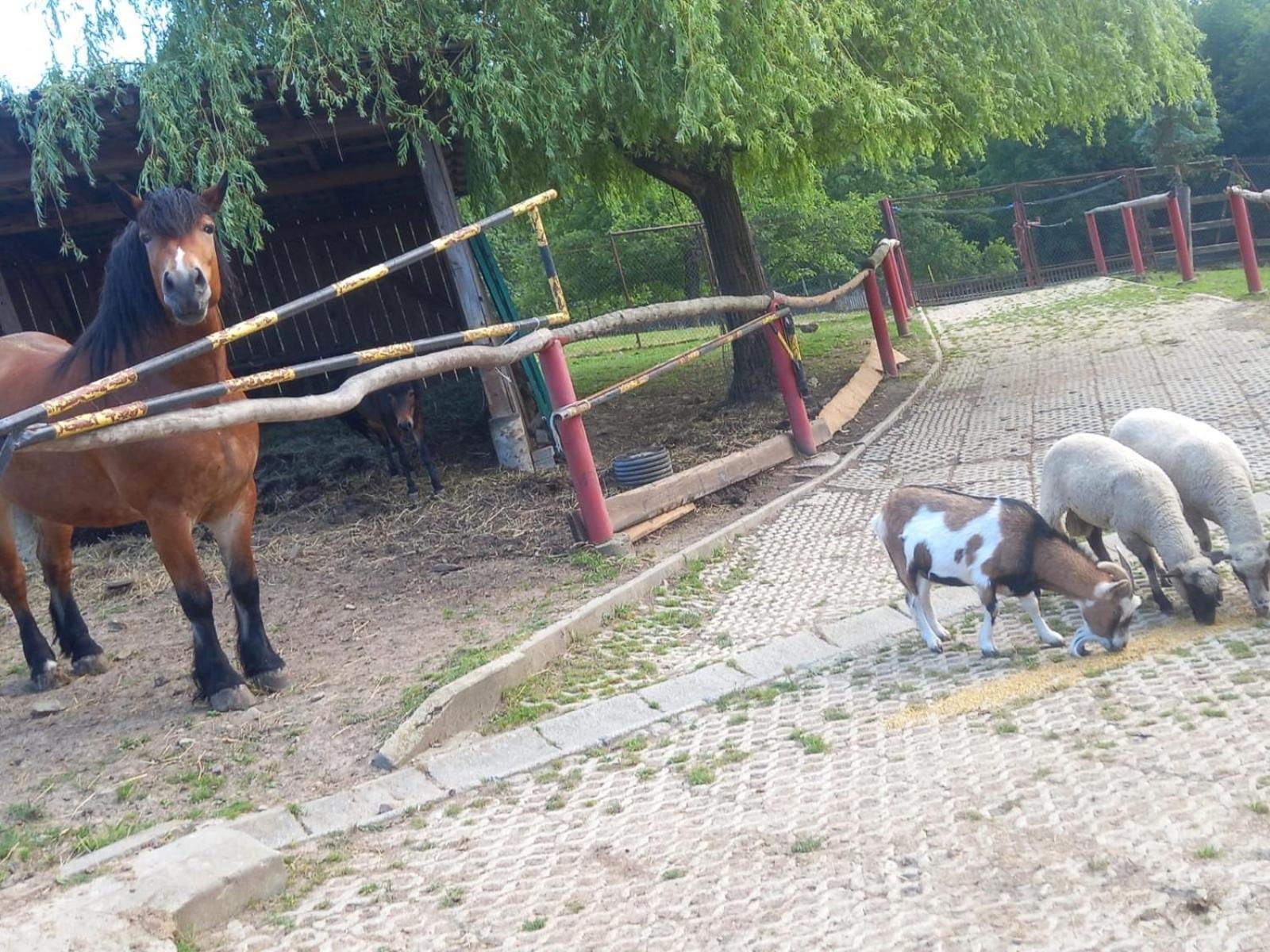 Koperkowe Rancho Beskid Wyspowy Domek Malopolskie Kamionna Kamionna  Ngoại thất bức ảnh
