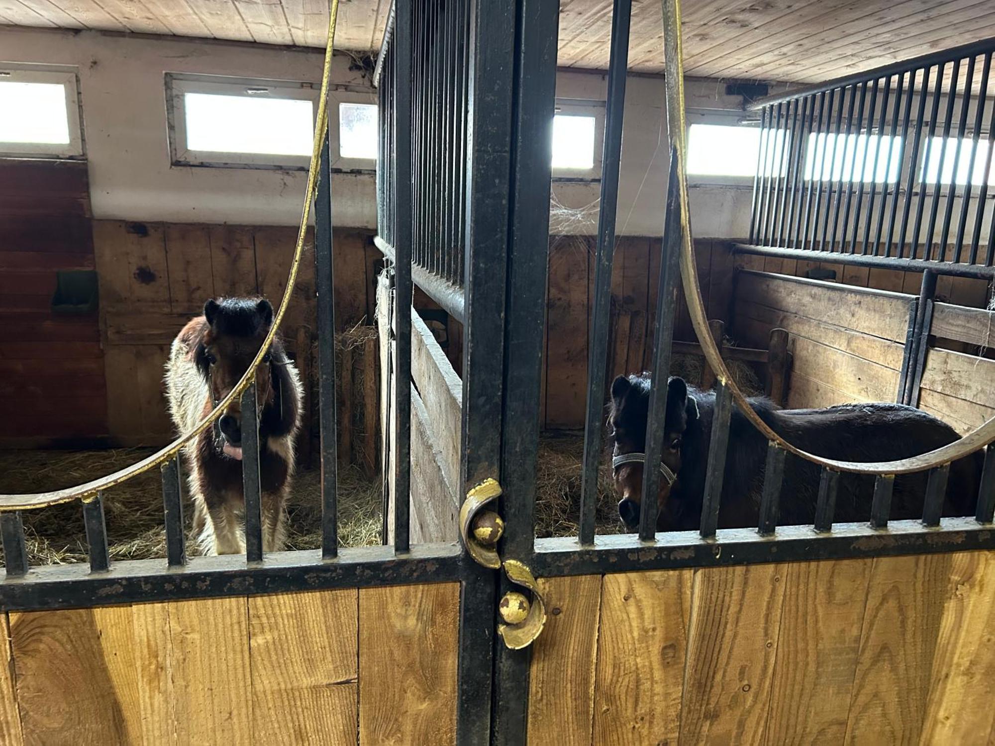 Koperkowe Rancho Beskid Wyspowy Domek Malopolskie Kamionna Kamionna  Ngoại thất bức ảnh